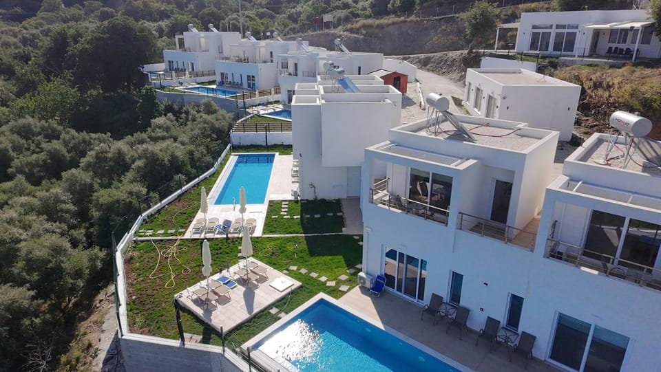Garden, Swimming pool, Swimming pool
