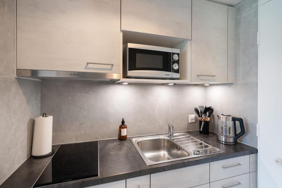 HID AG: Lakeview Studio mit Parkplatz und Balkon Apartment in Canton of Bern (Region)