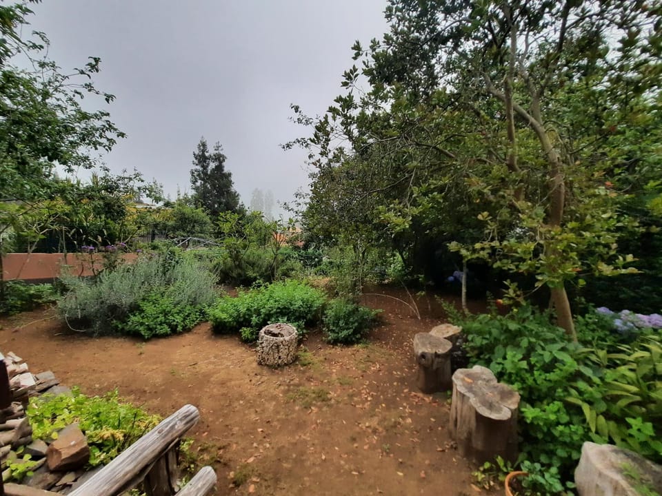 Garden, Garden view