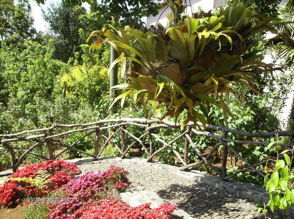 Garden, Balcony/Terrace