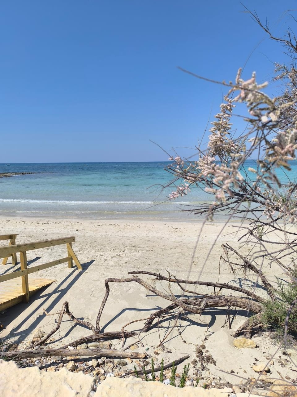 La Casetta Al Mar Apartment in Porto Cesareo