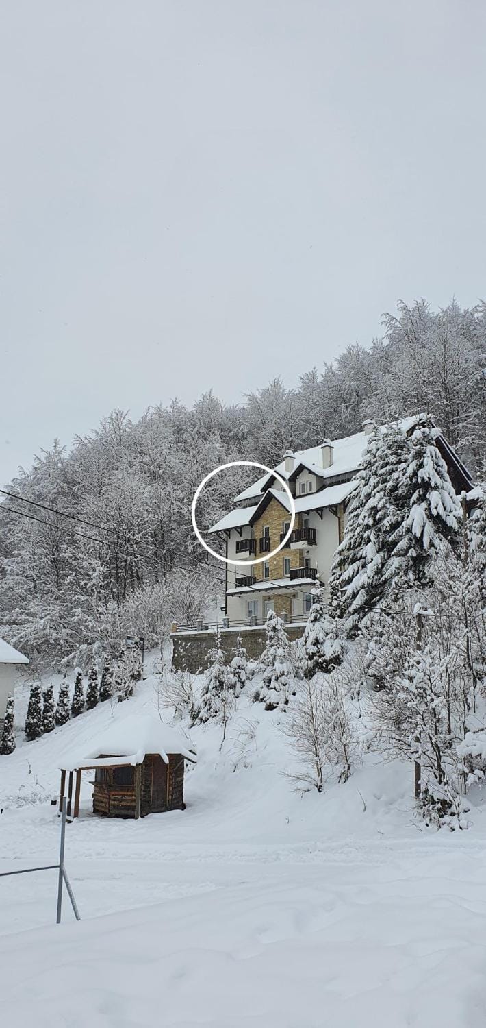 Natural landscape, Winter