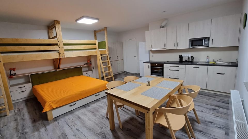Bed, Kitchen or kitchenette, Living room, Photo of the whole room, Seating area, Dining area, bunk bed, minibar, pet friendly, stove