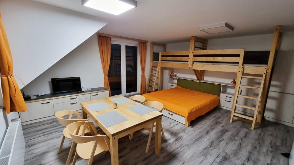 Bed, TV and multimedia, Kitchen or kitchenette, Living room, Photo of the whole room, Seating area, Dining area, Bedroom, bunk bed, hair dresser