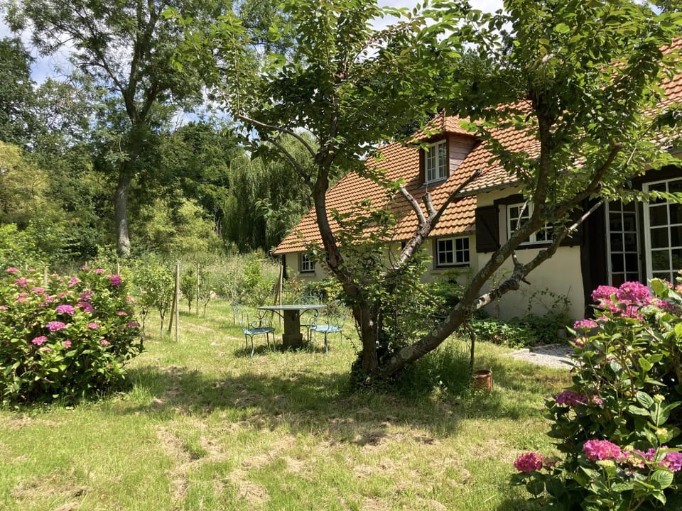 Patio, Garden, Garden view