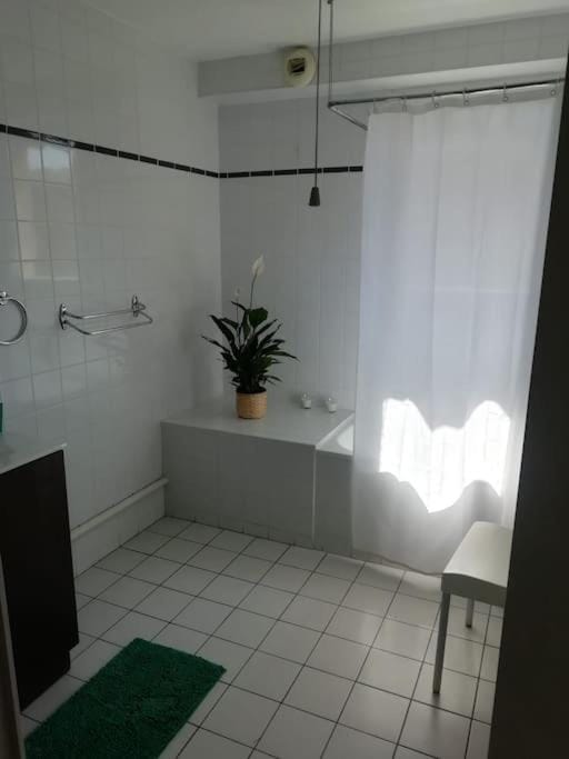 Bordeaux Downtown, pool access Apartment in Bordeaux