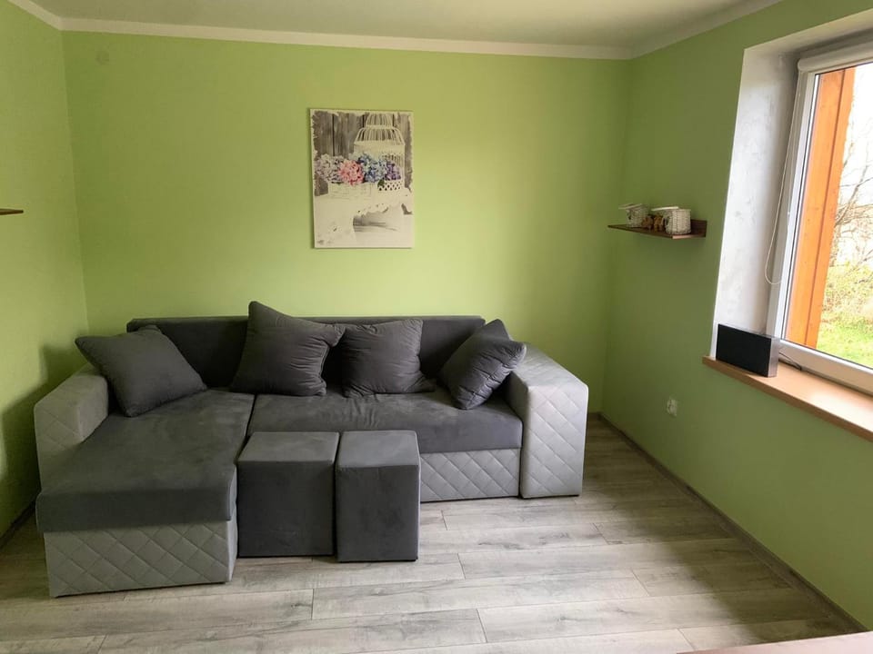Dom w górach z bilardem House in Poland