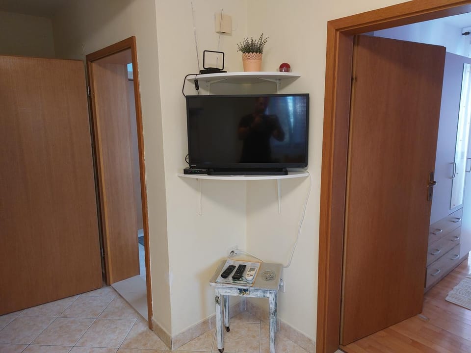 TV and multimedia