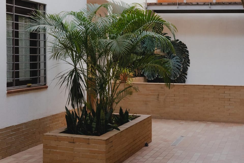 SUITE ZAMORANO Apartment in Malaga