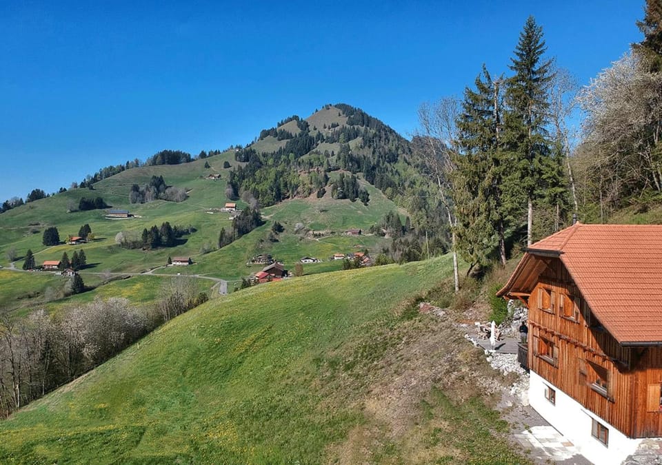 Bird's eye view, View (from property/room)