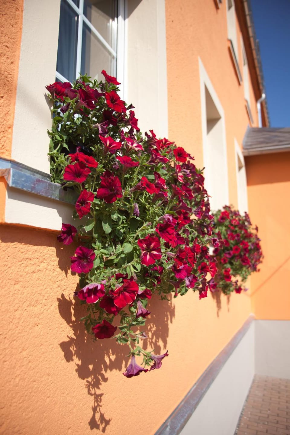 Property building, Spring