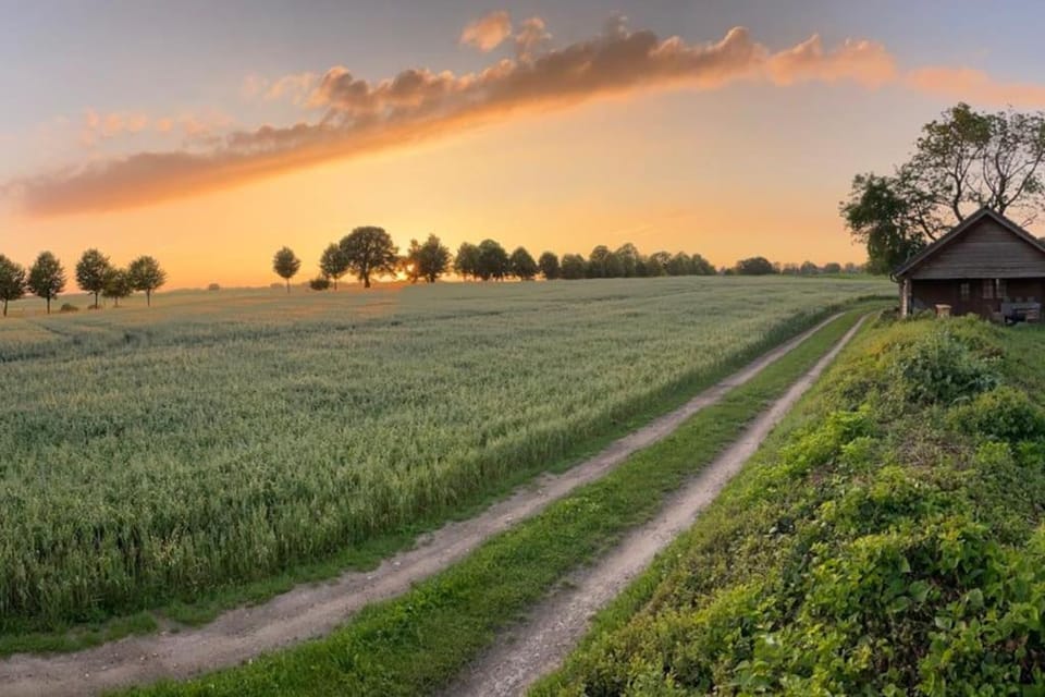 Garden, Garden view, Sunset