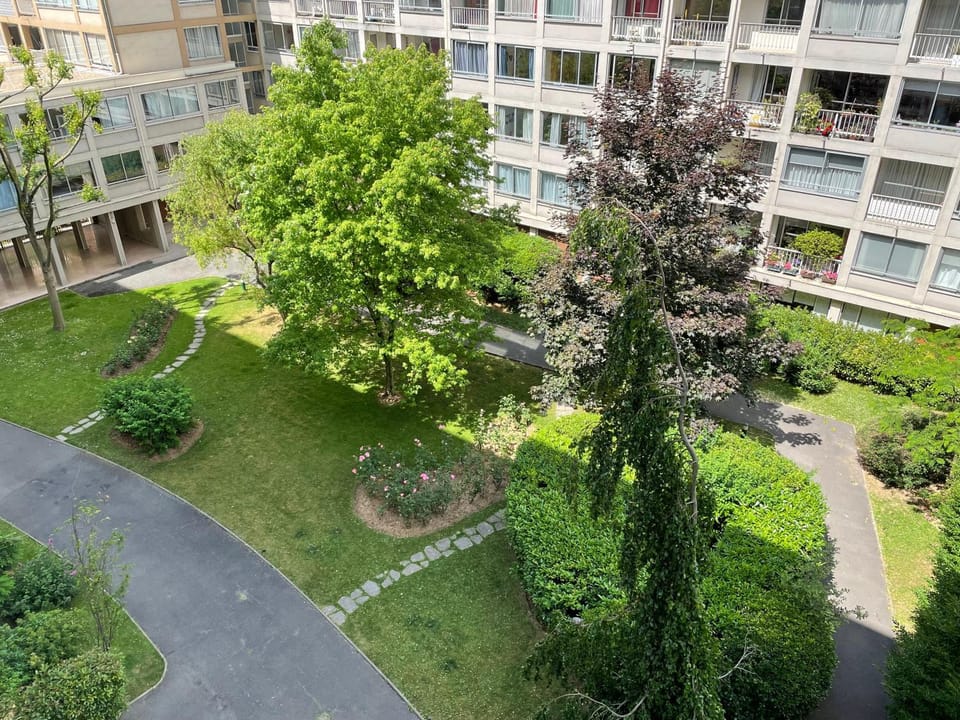 Property building, Garden, Garden view