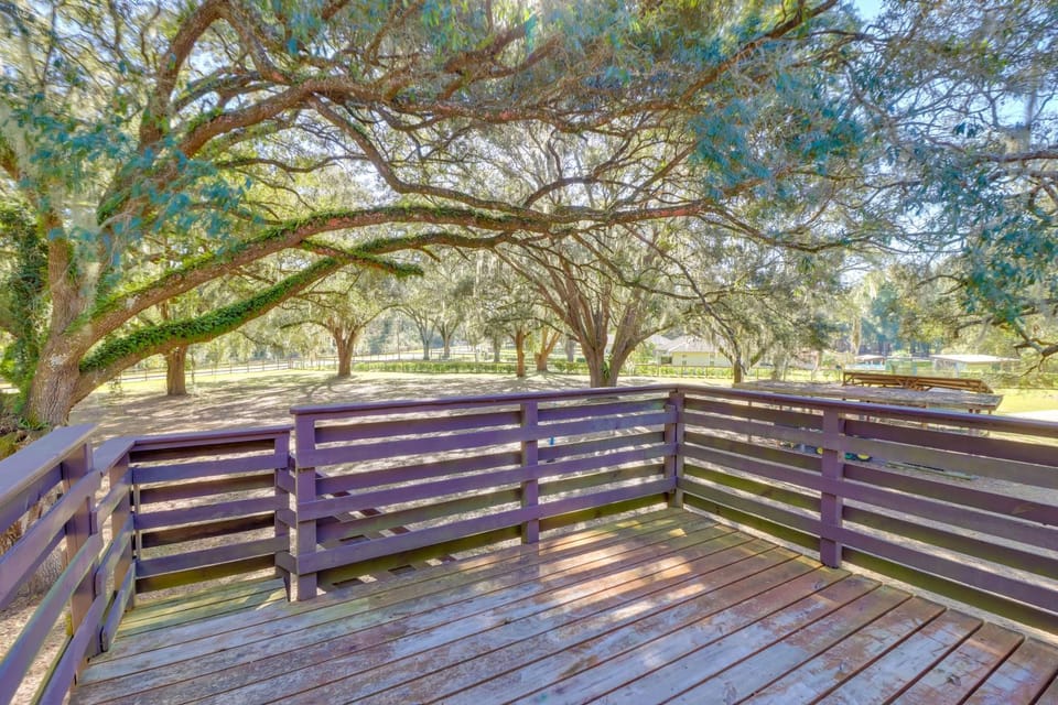 Lake Days & Golf Outings: Summerfield Group Escape House in Florida