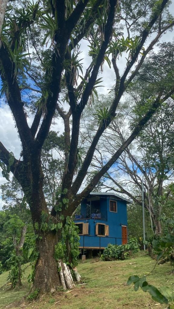 Private Eco Cabin B, pool, fast Wifi, Mountain Views Cabin in San José Province