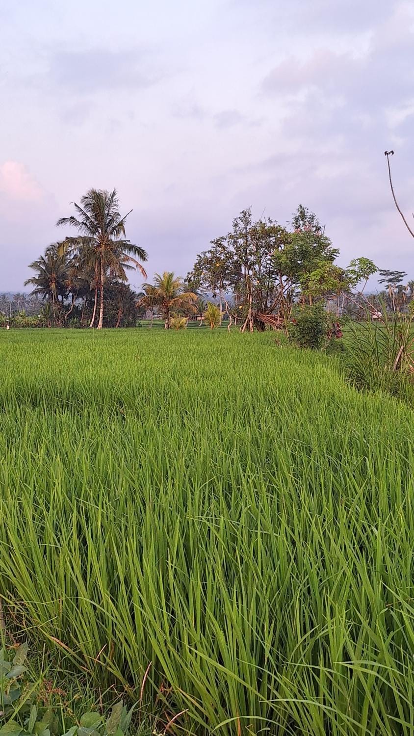Natural landscape