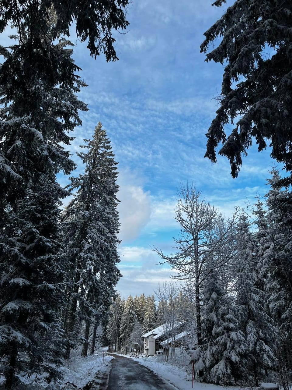 Naturfreundehaus Brend Bed and Breakfast in Baden-Württemberg