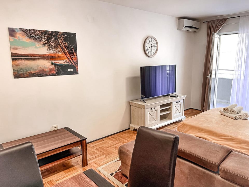 TV and multimedia