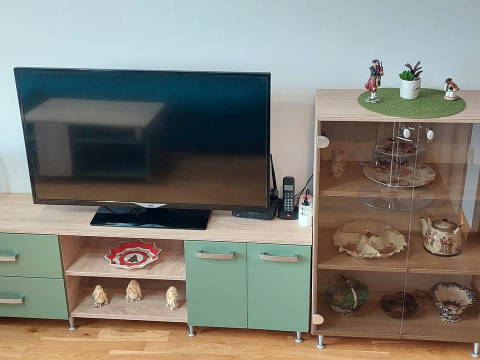 TV and multimedia