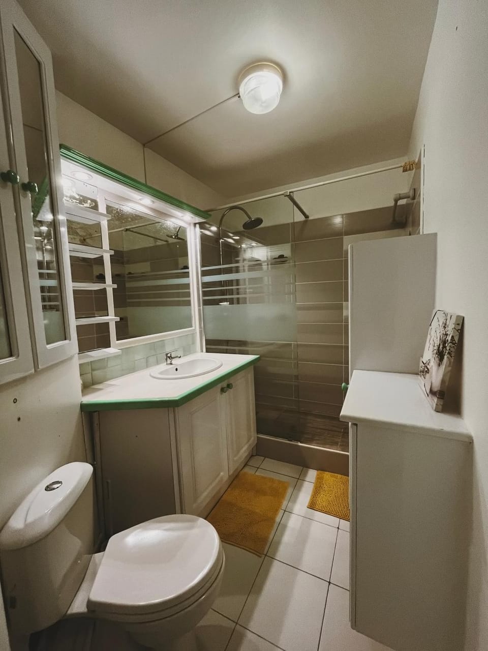 Shower, Bathroom