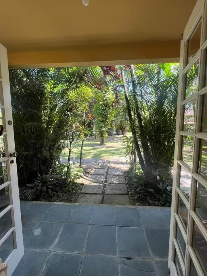 Day, Garden, Garden view