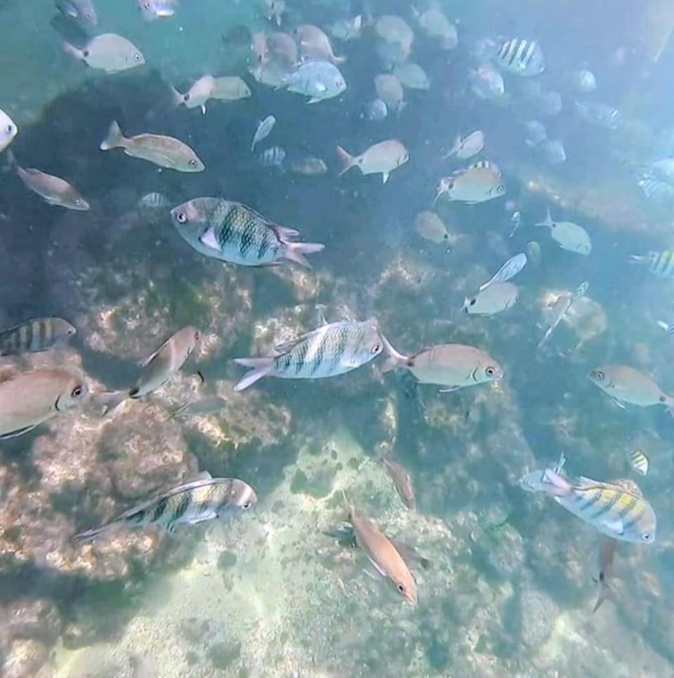 Natural landscape, Swimming pool