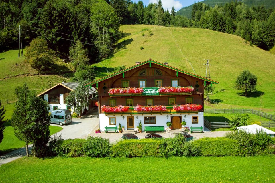 Laubichlhof Apartment in Salzburgerland