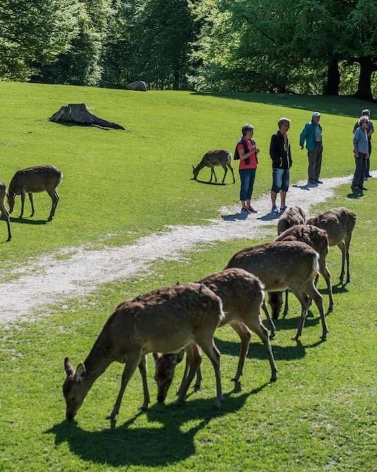 AArhus 115 Apartment in Aarhus