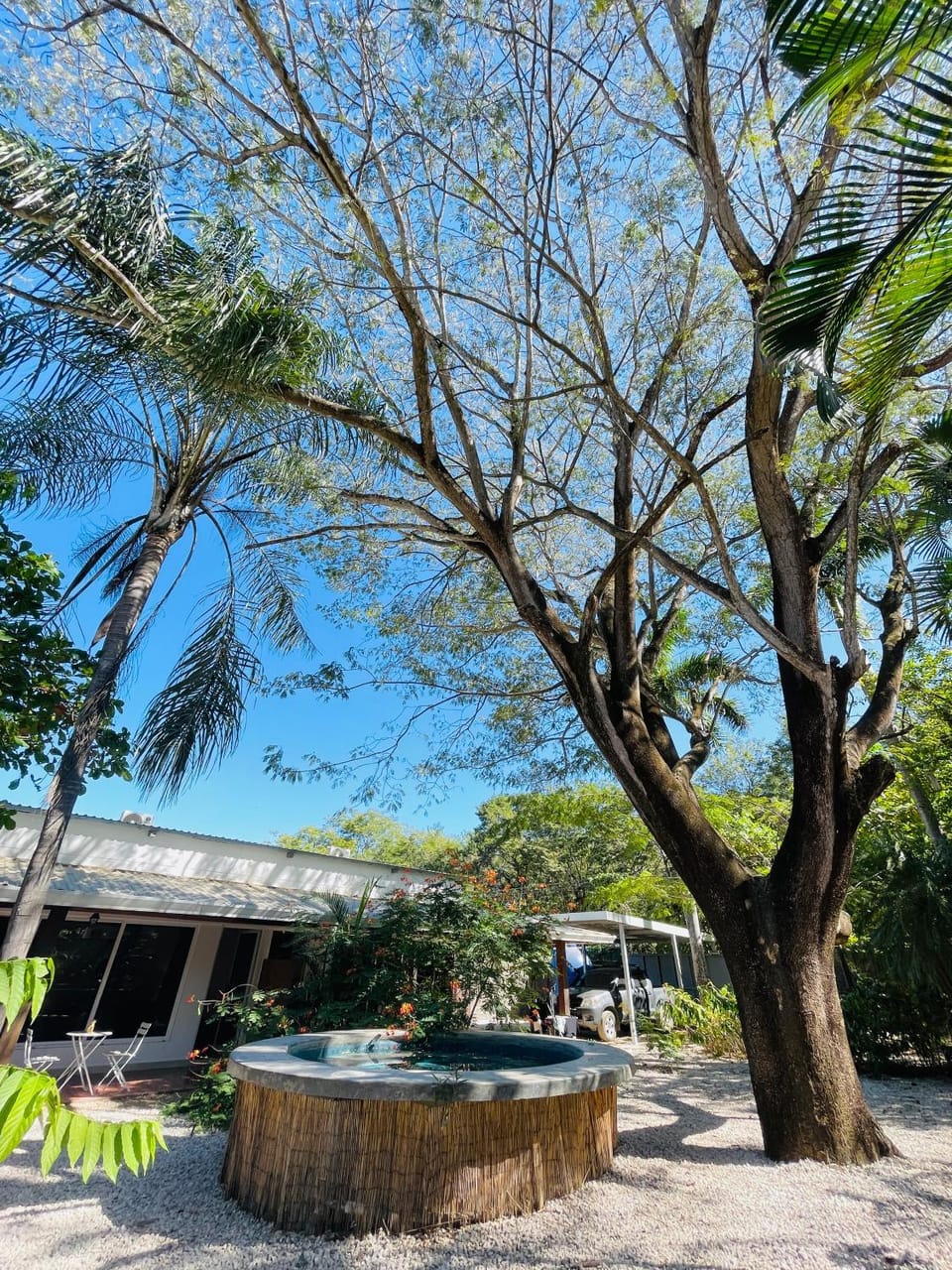 Day, Garden, Garden view