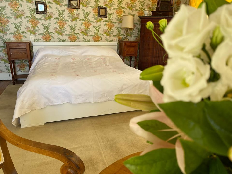 Maison d'hôtes - Villa Les Pins - Lempaut Bed and Breakfast in Occitanie