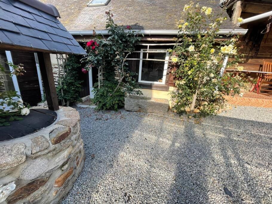 Property building, Garden view