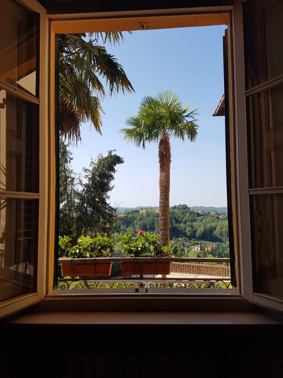 Garden view
