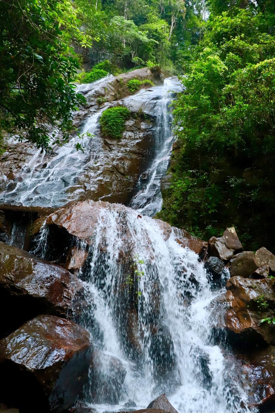 Paradise Eco Garden Campground/ 
RV Resort in Western Province