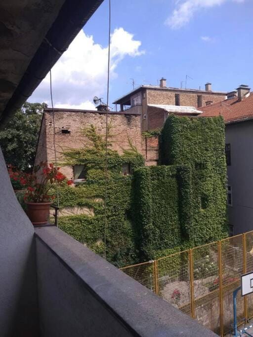 Garden view
