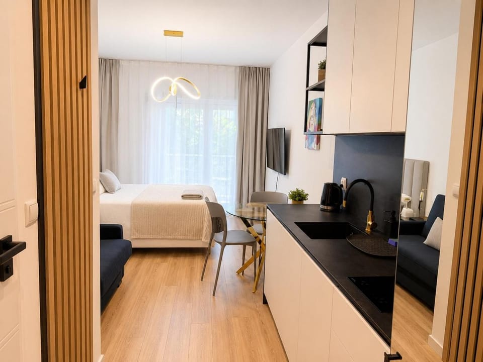 Apartament przy Placu Wolności Apartment in Poznan