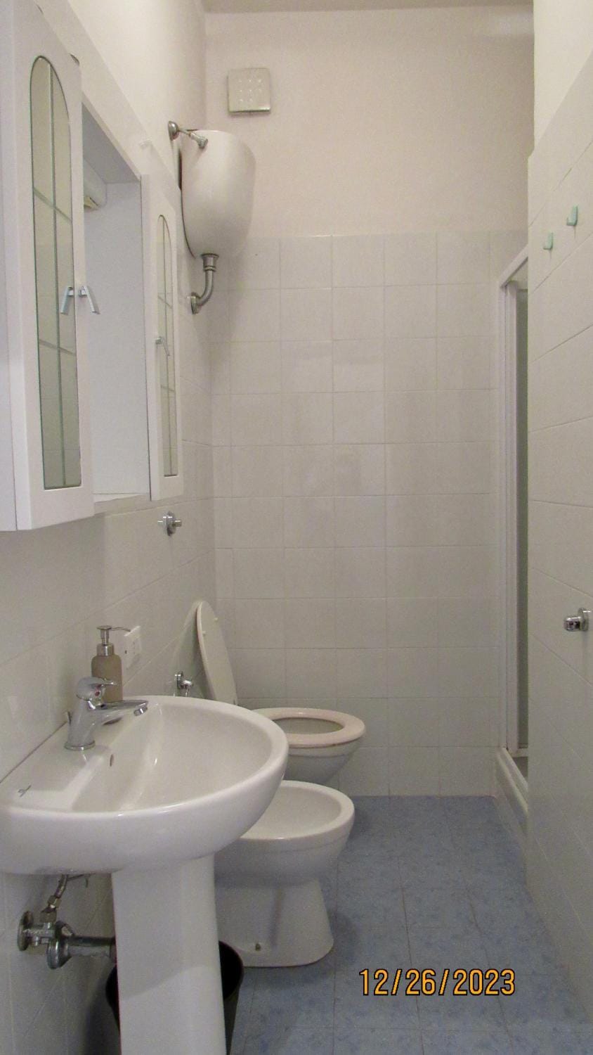 Shower, Toilet, Bathroom, bidet