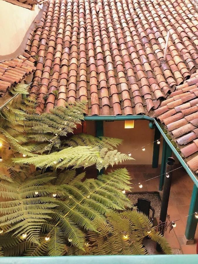 Garden, Balcony/Terrace