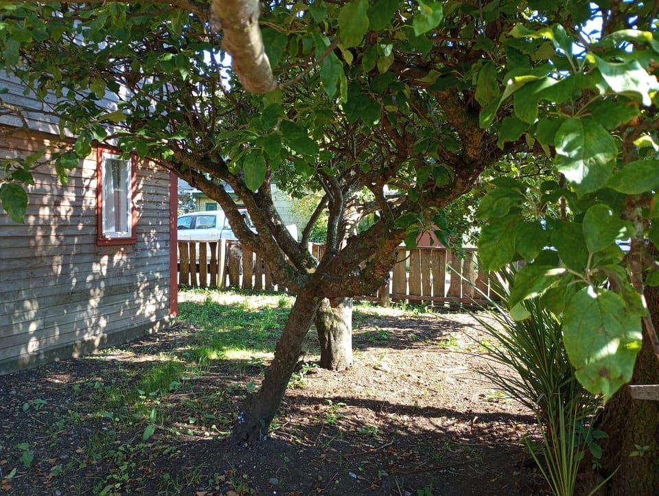 Garden, Garden view