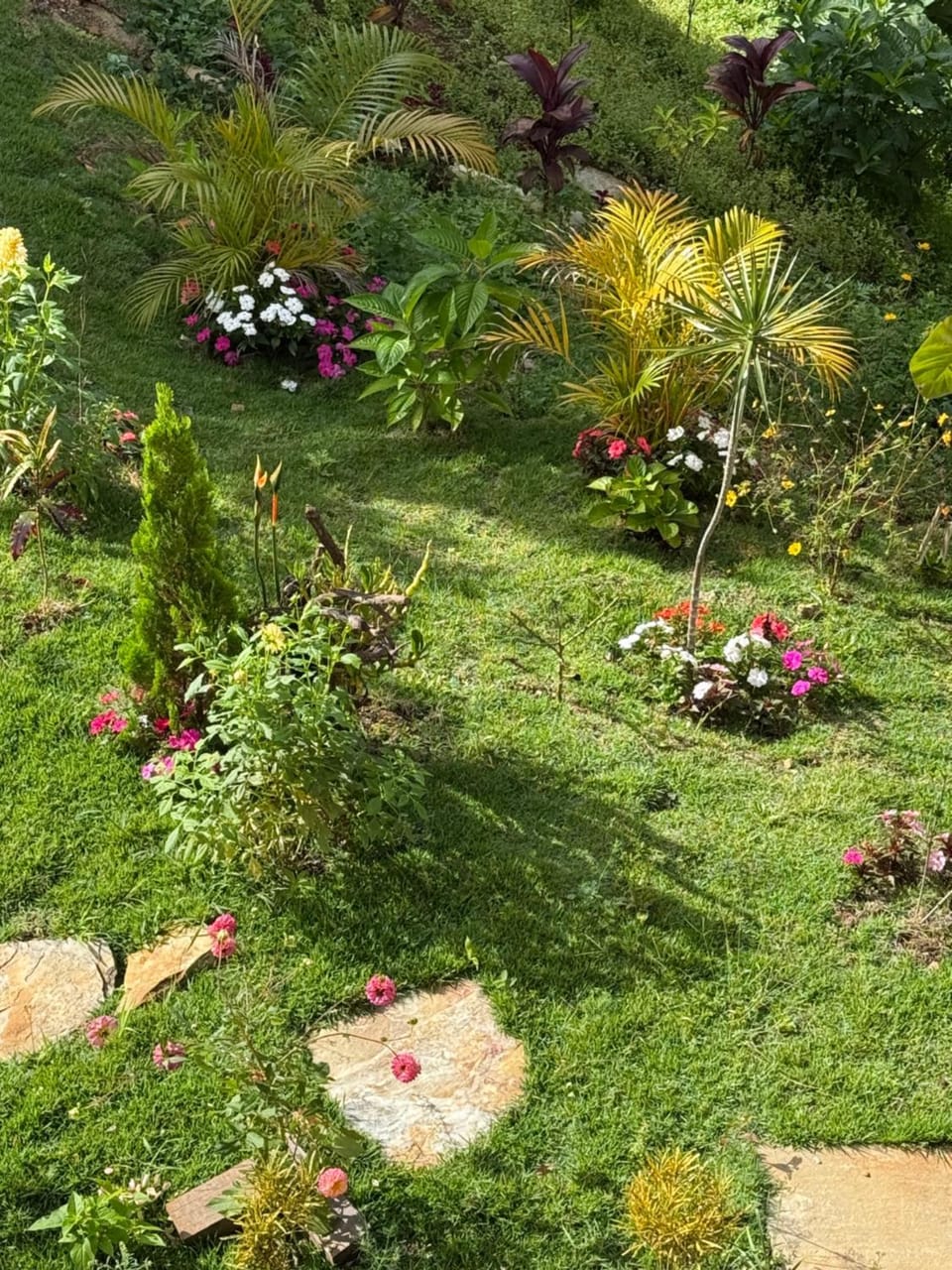 Garden view