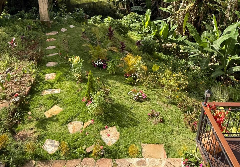 Garden view