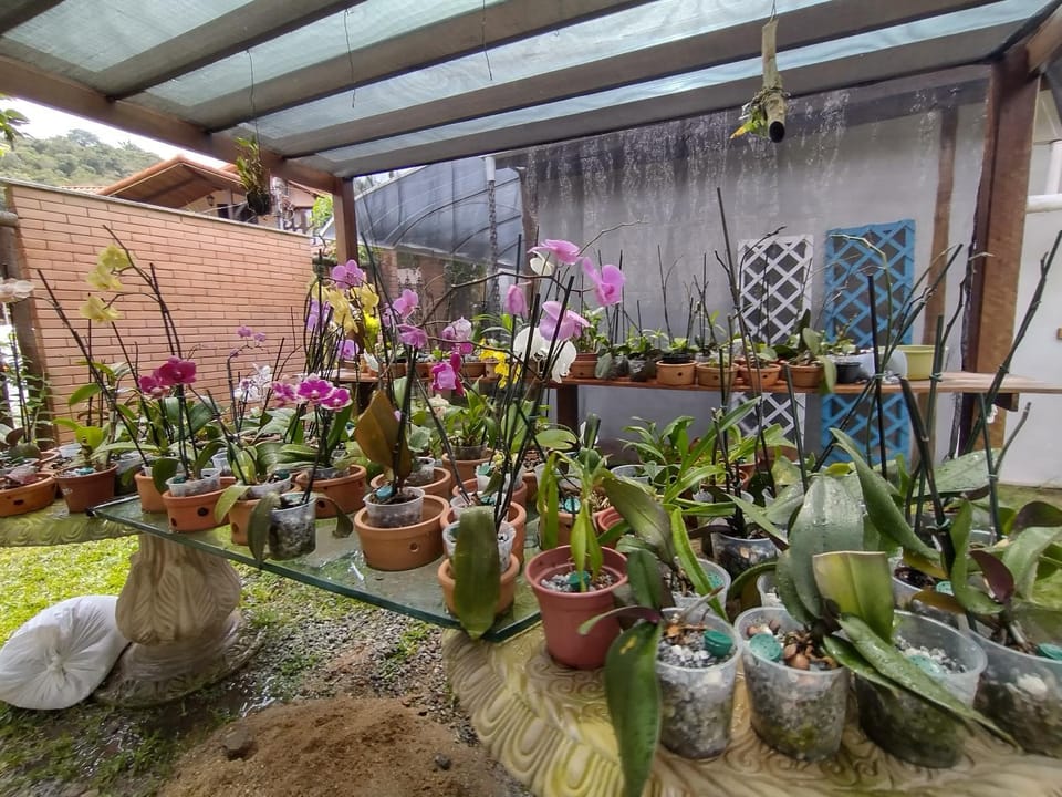 Flor de Orquídea guesthouse Apartment in State of Rio de Janeiro