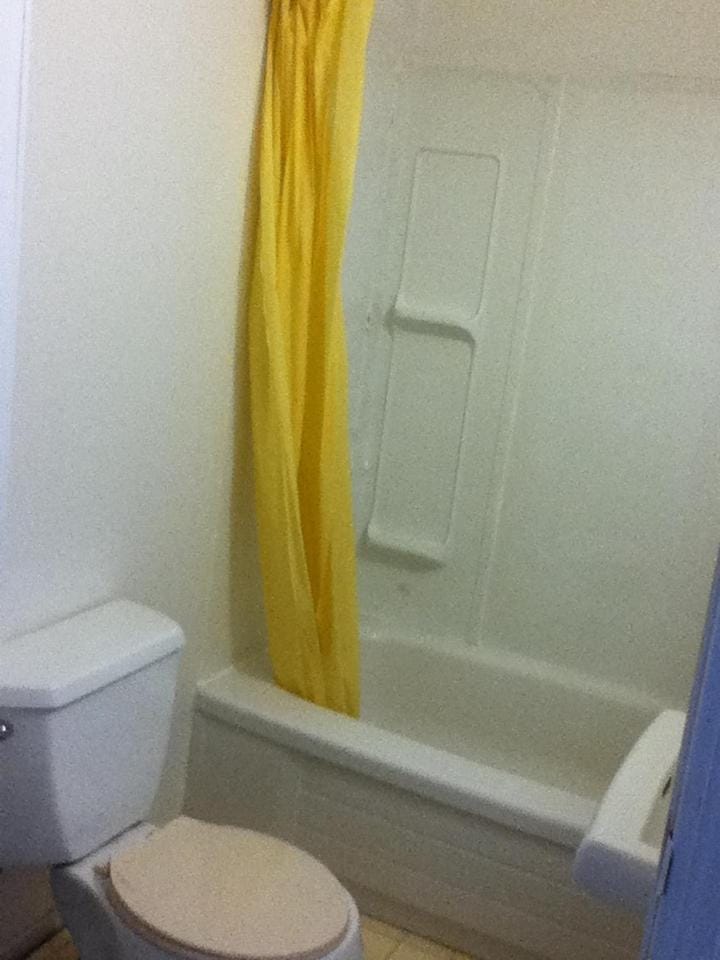 Toilet, Bathroom, Bath