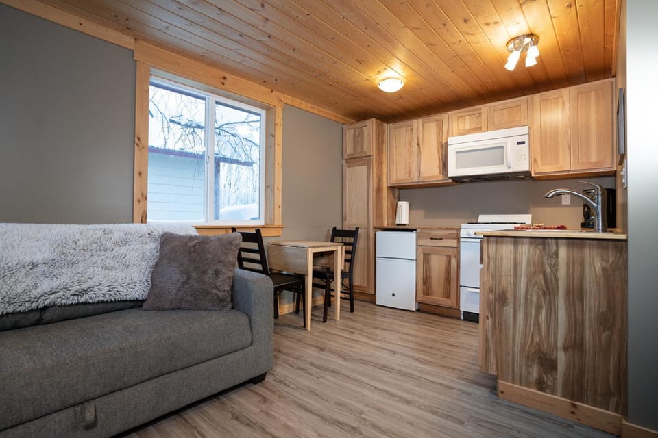 Kitchen or kitchenette, Living room, Seating area, Dining area, minibar, pet friendly, stove, toaster