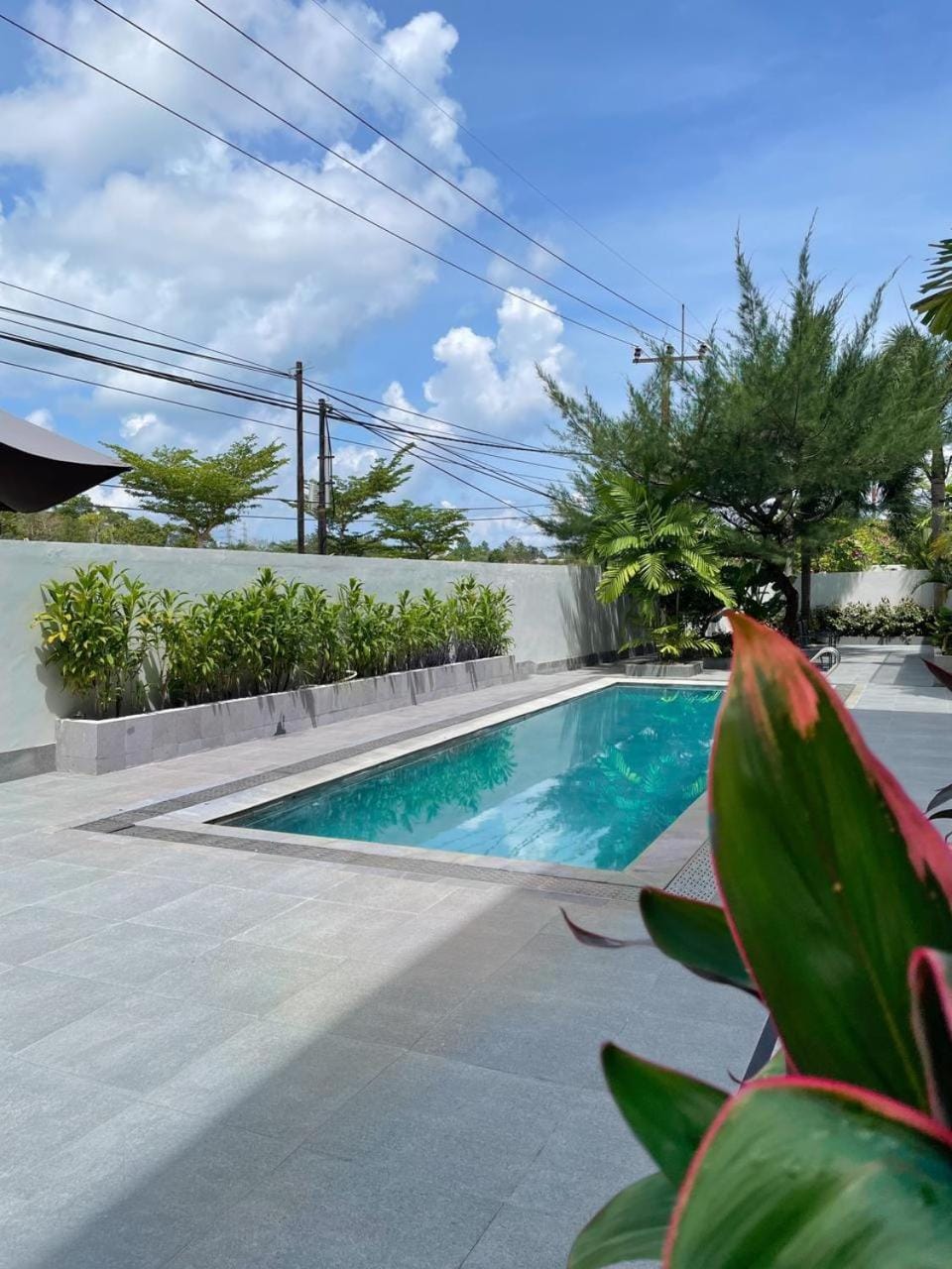 Garden, Garden view, Pool view, Swimming pool