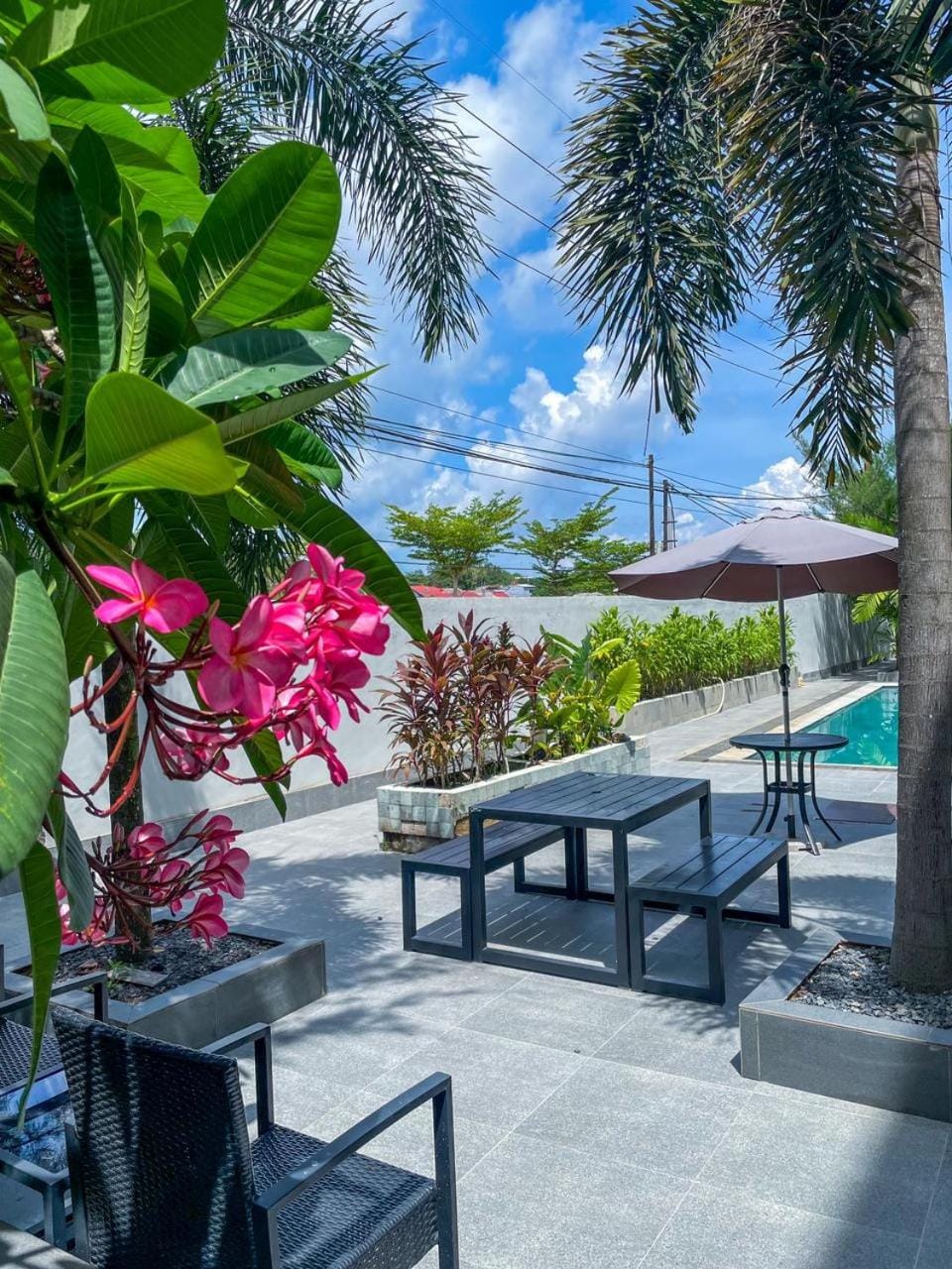 Garden, Garden view, Pool view, Swimming pool
