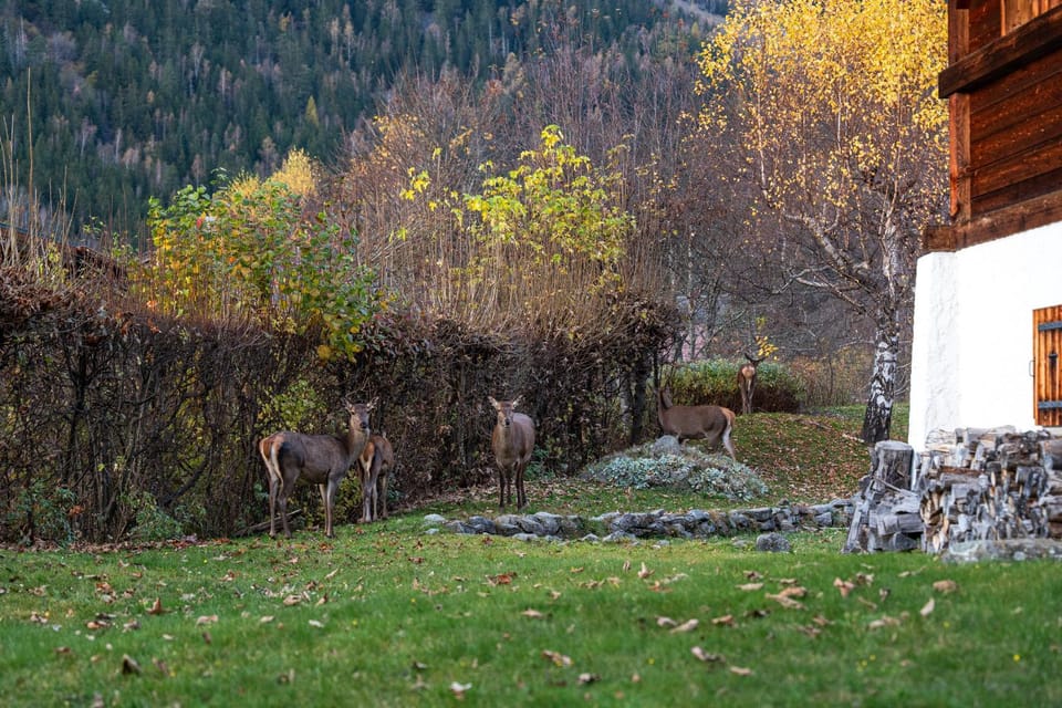 Garden view, Garden view