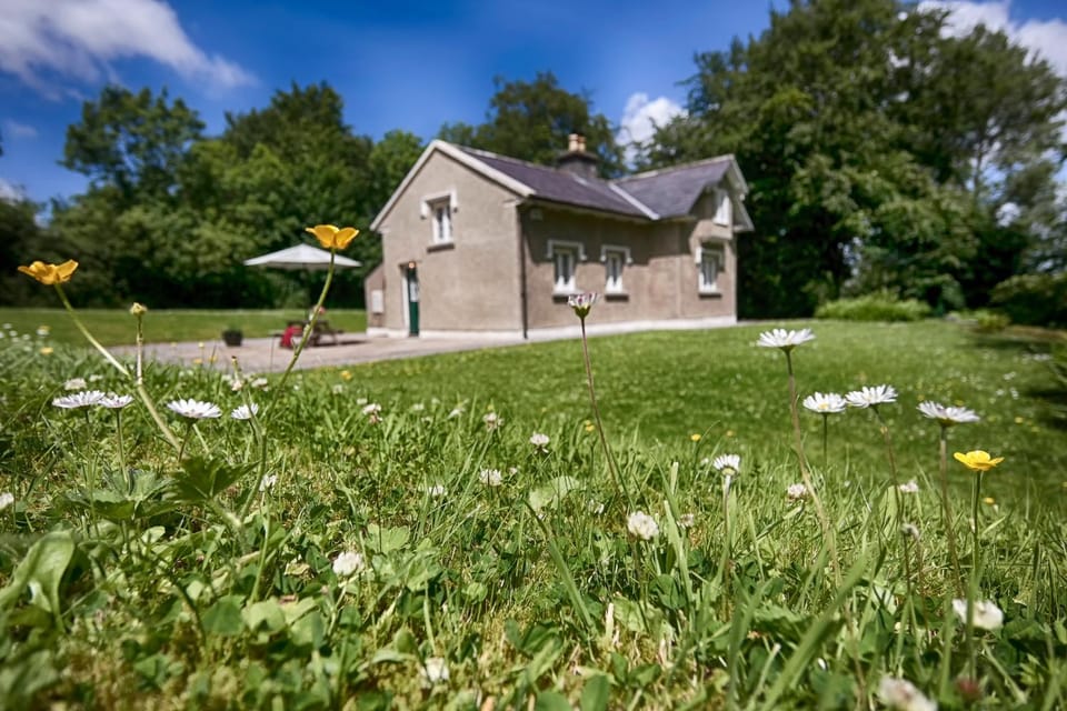 Property building, Spring, Day, Natural landscape, Garden, Garden view