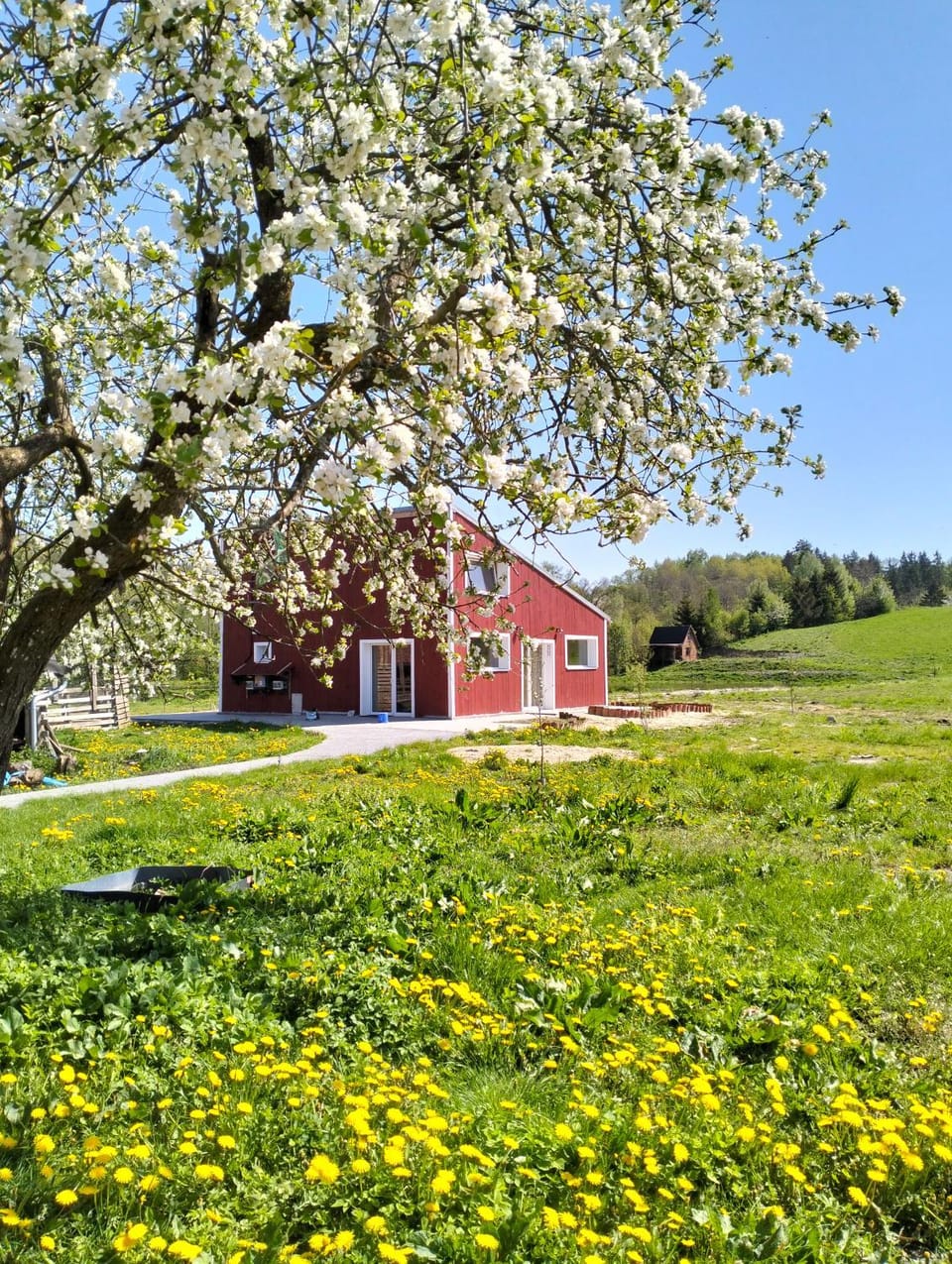 Osada Farm Stay in Poland