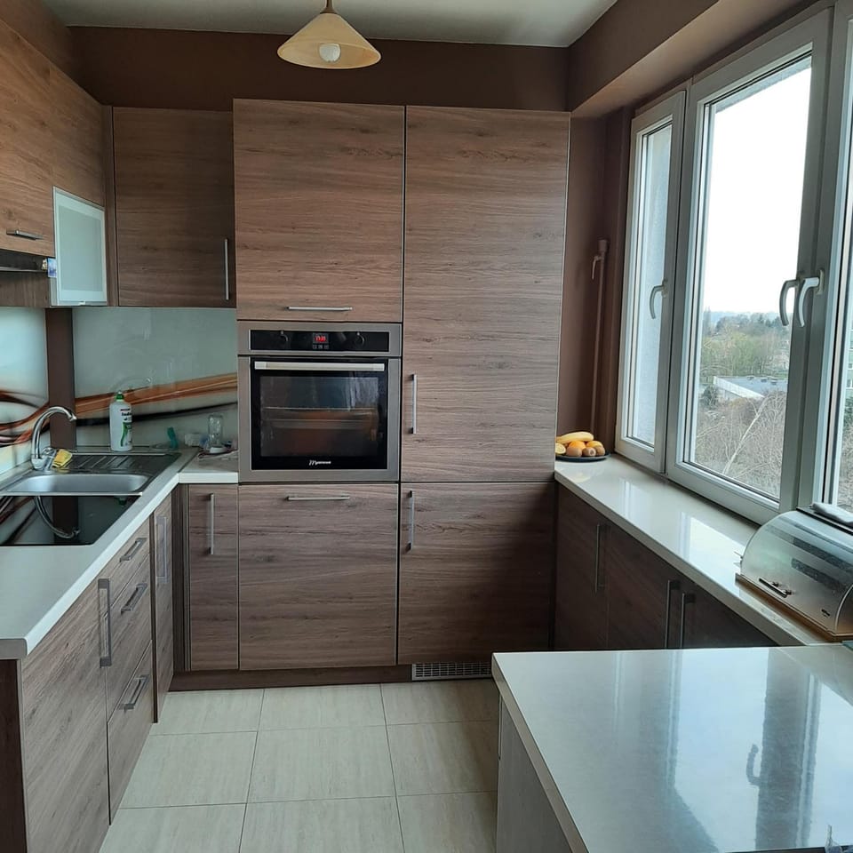 Kitchen or kitchenette, minibar, stove