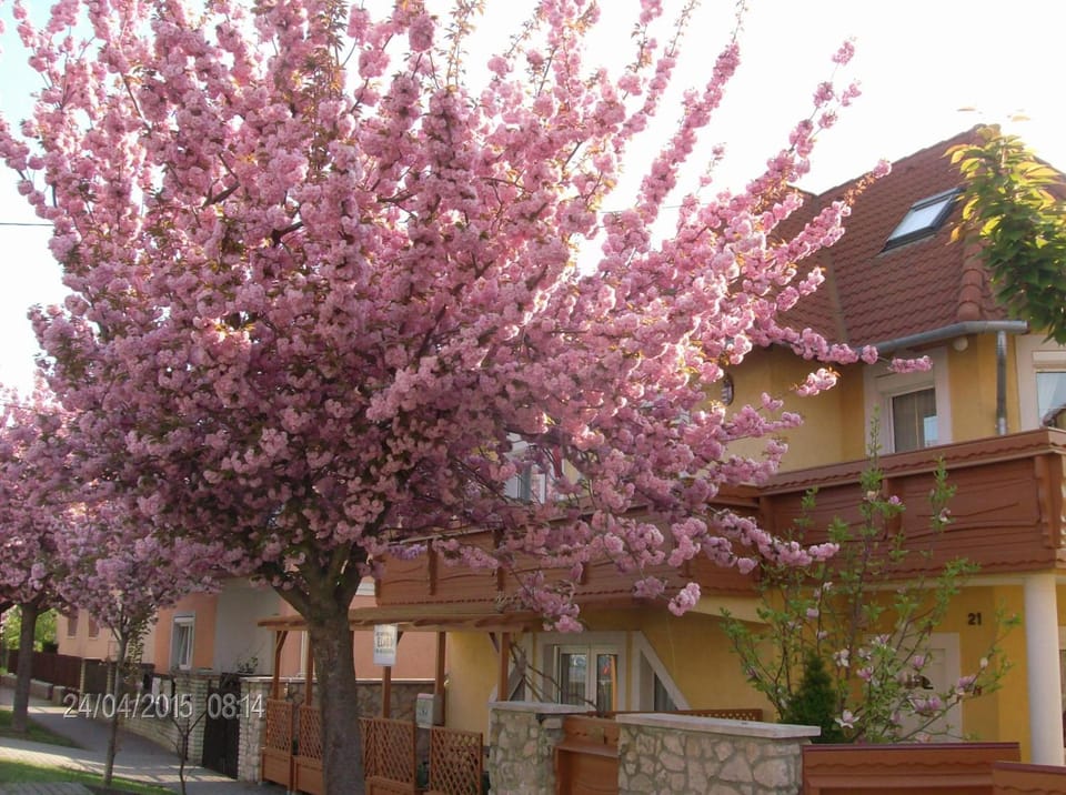 Facade/entrance, Spring, Street view